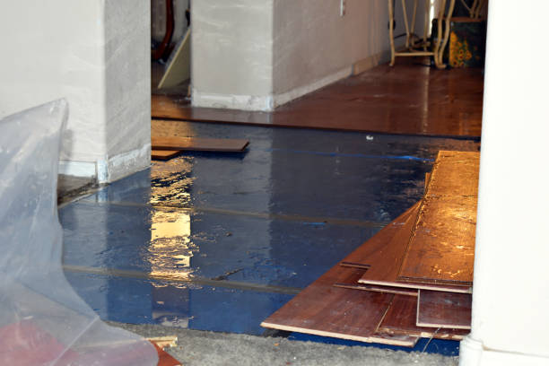 Professional Basement Flood Cleanup technician working in Rock Creek, MN
